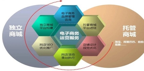 電子商務(wù)網(wǎng)站與平臺(tái)的全面推廣與精細(xì)化運(yùn)營(yíng)策略